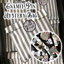 Load image into Gallery viewer, Pin Mystery Bag - 3 B Grade Pins
